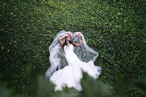 Nikola Šegan Photography