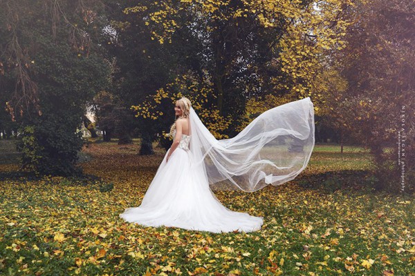 Nikola Šegan Photography