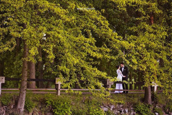 Photography by Milivojević