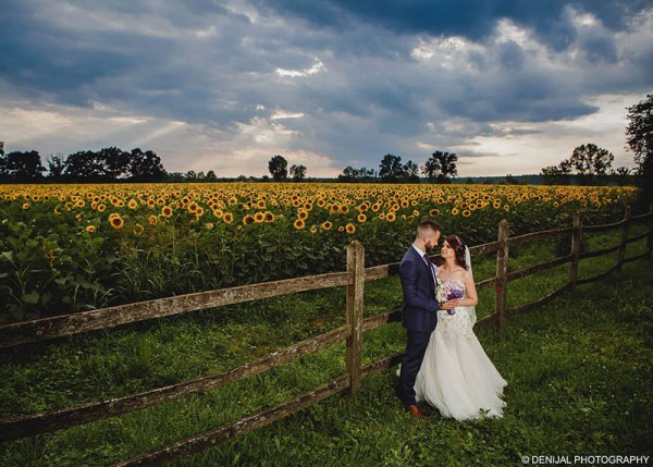 Denijal Photography @denijal.photo