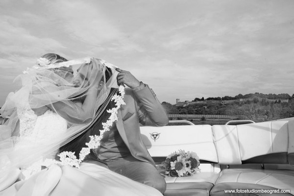 FVM studio @fvmstudio