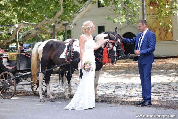 FVM studio @fvmstudio